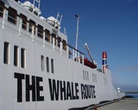 Highlight for album: Inselwelten