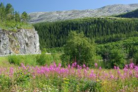 An der E6 vor Mosjøen