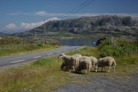 Ruhige Straßen und nette Begegnungen