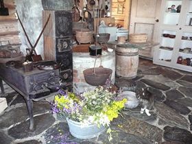 Kräuterküche mit Katze