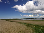 Getterön Vogelbeobachtungszentrum