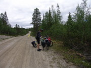 Zwischen Gutulia- und Femundnationalpark