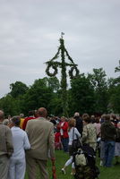 Der Mittsommerbaum steht